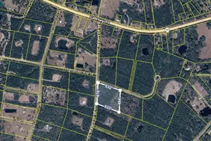 0 Vic Waters Dr Emma Ln, Townsend, GA 31331 - Photo 1