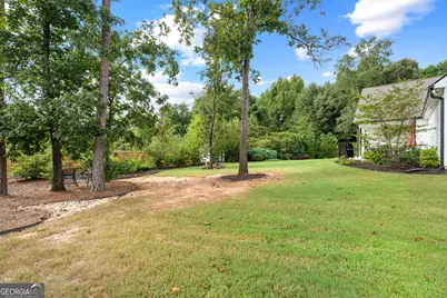 250 Wet Stone Rd, Senoia, GA 30276 - Photo 45