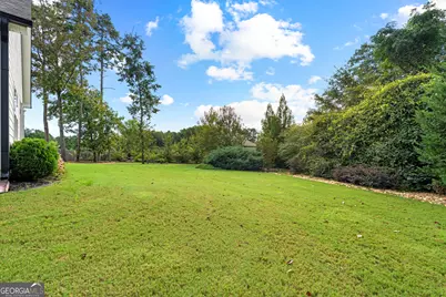 250 Wet Stone Rd, Senoia, GA 30276 - Photo 47