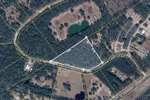 0 Colonial Coast Circle, Townsend, GA 31331 - Photo 1