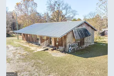 51 Louie Blount Road, Hawkinsville, GA 31036 - Photo 3