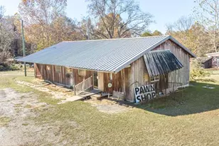 51 Louie Blount Rd, Hawkinsville, GA 31036 - Photo 3