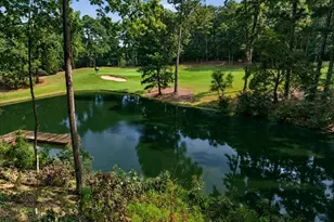 1050 Dejarnet Pl, Greensboro, GA 30642 - Photo 75