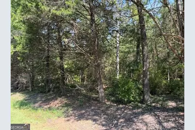 462 Amaryllis Drive, Sparta, GA 31087 - Photo 3