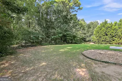 80 Savannah Drive, Senoia, GA 30276 - Photo 49