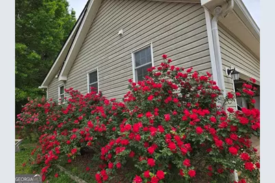 178 Major Road, Sharpsburg, GA 30277 - Photo 53
