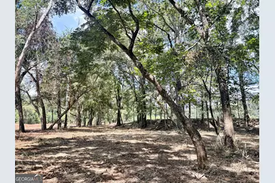 102 Yellow Creek Road, Forsyth, GA 31029 - Photo 3