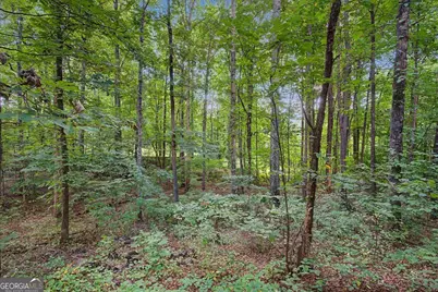 500 Emerald Pines Drive, Dallas, GA 30157 - Photo 41