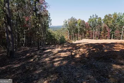34 E Heritage Drive NE, Rydal, GA 30171 - Photo 5
