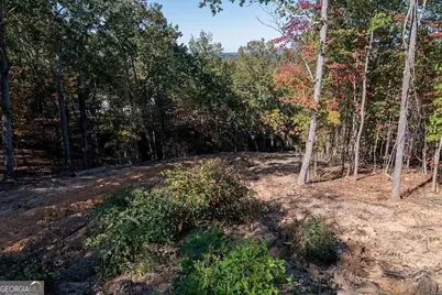 34 E Heritage Drive NE, Rydal, GA 30171 - Photo 27