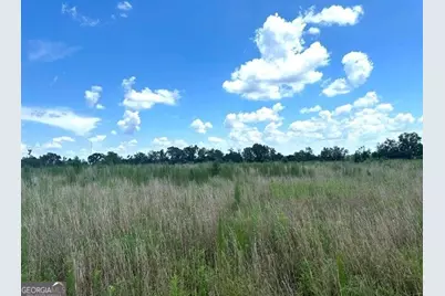 0 Ga Hwy 298 Parcel 2, Vidalia, GA 30474 - Photo 3