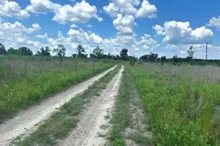 0 Ga Hwy 298 Parcel 2, Vidalia, GA 30474 - Photo 1