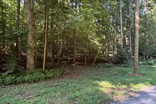 0 Chateau Dr, Lavonia, GA 30553 - Photo 1