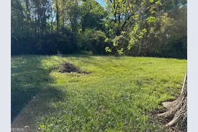 313 Carter Street, Greenville, GA 30222 - Photo 17