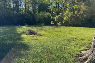 313 Carter St, Greenville, GA 30222 - Photo 17