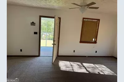 313 Carter Street, Greenville, GA 30222 - Photo 3
