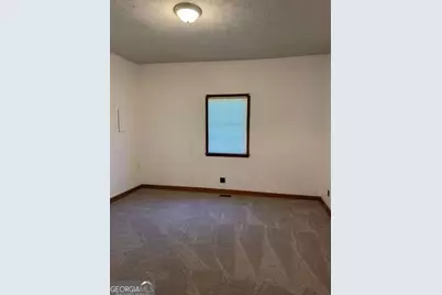 313 Carter Street, Greenville, GA 30222 - Photo 7