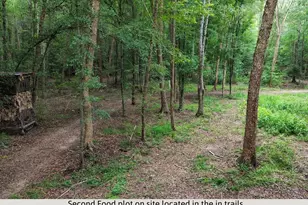 582 Asbury Church Rd, Irwinton, GA 31042 - Photo 103