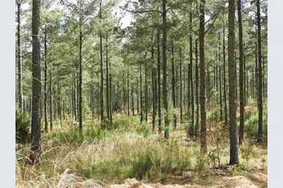 0 Griffin Road #5007-PARCEL 2, Cartersville, GA 30120 - Photo 25