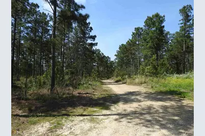 0 Griffin Road #5007-PARCEL 3, Cartersville, GA 30120 - Photo 11