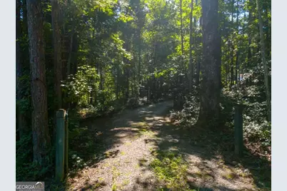 406 Covered Bridge Road, Covington, GA 30016 - Photo 27