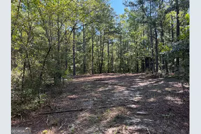 0 Pig Road, Bartow, GA 30413 - Photo 31