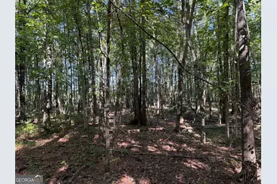0 Pig Road, Bartow, GA 30413 - Photo 23