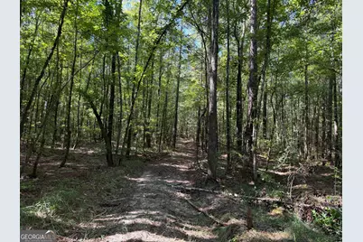 0 Pig Road, Bartow, GA 30413 - Photo 43