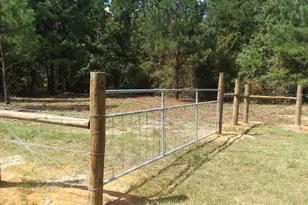 0 Pig Rd, Bartow, GA 30413 - Photo 1