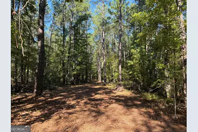 0 Pig Road, Bartow, GA 30413 - Photo 3