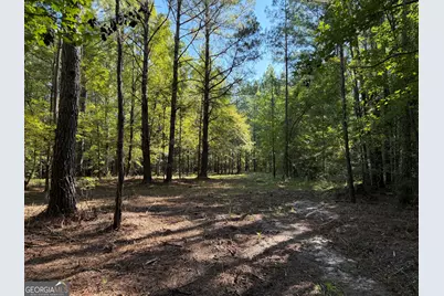 0 Pig Road, Bartow, GA 30413 - Photo 9