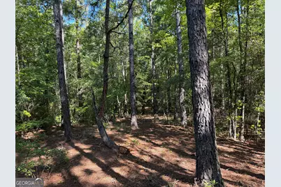 0 Pig Road, Bartow, GA 30413 - Photo 35