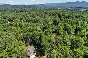 329 Hawks Nest Dr, Blairsville, GA 30512 - Photo 51