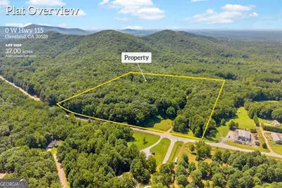 0 Highway 115, Cleveland, GA 30528 - Photo 3