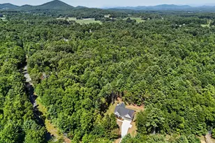 443 Hawks Nest Dr, Blairsville, GA 30512 - Photo 59