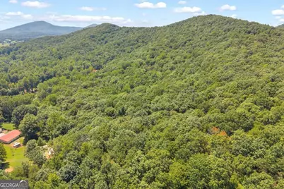 0 Hwy 115, Cleveland, GA 30528 - Photo 19