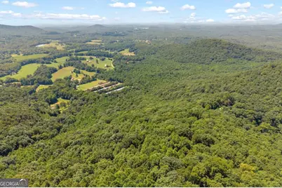 0 Hwy 115, Cleveland, GA 30528 - Photo 23