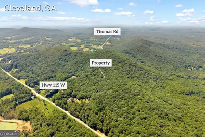 0 Hwy 115, Cleveland, GA 30528 - Photo 11