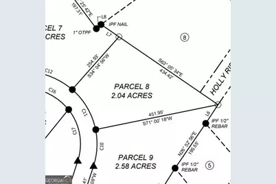 0 Holly Ridge Lot 8, Dublin, GA 31021 - Photo 3