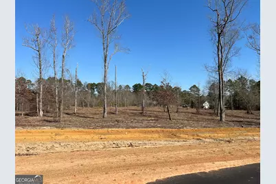 0 Holly Ridge Lot 8, Dublin, GA 31021 - Photo 1
