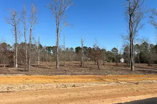 0 Holly Ridge Lot 8, Dublin, GA 31021 - Photo 1