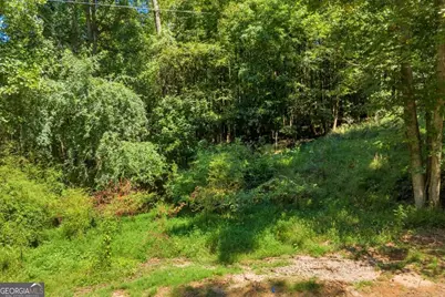 0 Thomas Road, Cleveland, GA 30528 - Photo 15