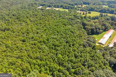 0 Thomas Road, Cleveland, GA 30528 - Photo 21