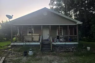 2969 Josie Miller Rd, Newton, GA 39870 - Photo 1
