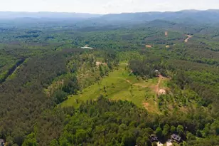 Lot 1 Hwy 52 W, Dahlonega, GA 30533 - Photo 1