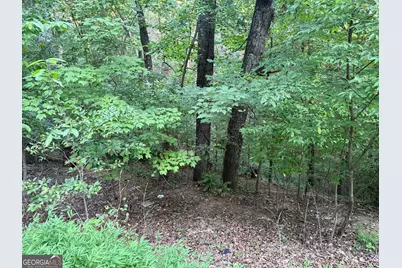 2333 Ford White Road, Gainesville, GA 30506 - Photo 1