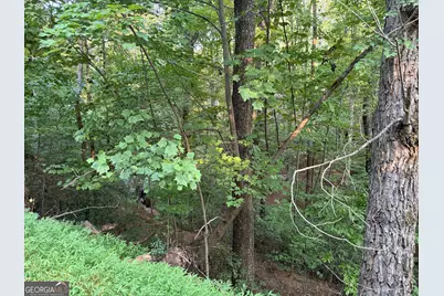 2333 Ford White Road, Gainesville, GA 30506 - Photo 5