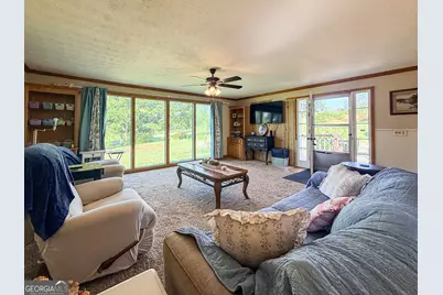 4850 New Liberty Road, Clarkesville, GA 30523 - Photo 5