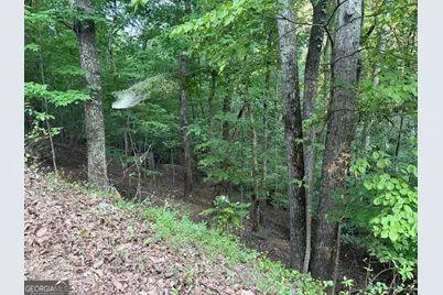 2329 Ford White Road, Gainesville, GA 30506 - Photo 3