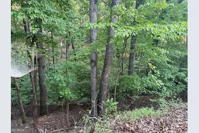 2329 Ford White Road, Gainesville, GA 30506 - Photo 1